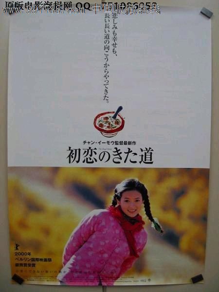 纽约驾照买个多少钱